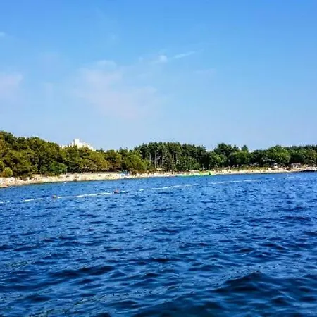 Maslina アパート *