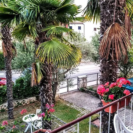 Maslina Apartment
