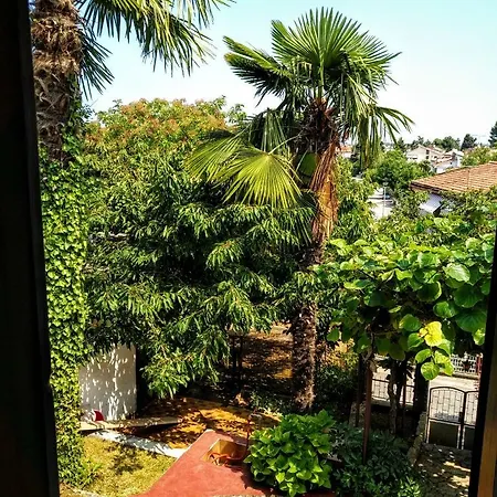 Apartment Maslina Porec