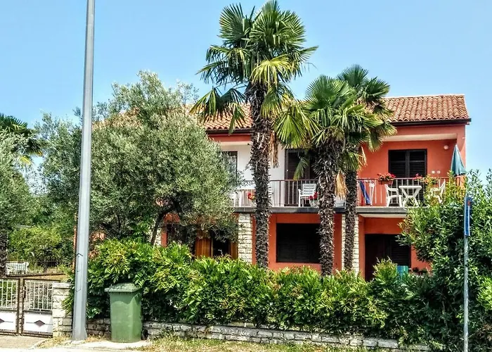 Maslina * פורץ